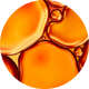 Óleo de Jojoba